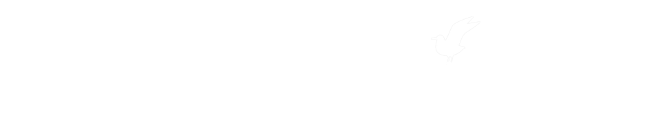 https://web.tuusula.fi/tuusulanjarvi_en 